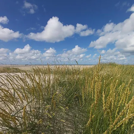 Beachside Bliss In Lakolk - By Traum
